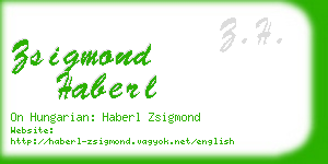 zsigmond haberl business card